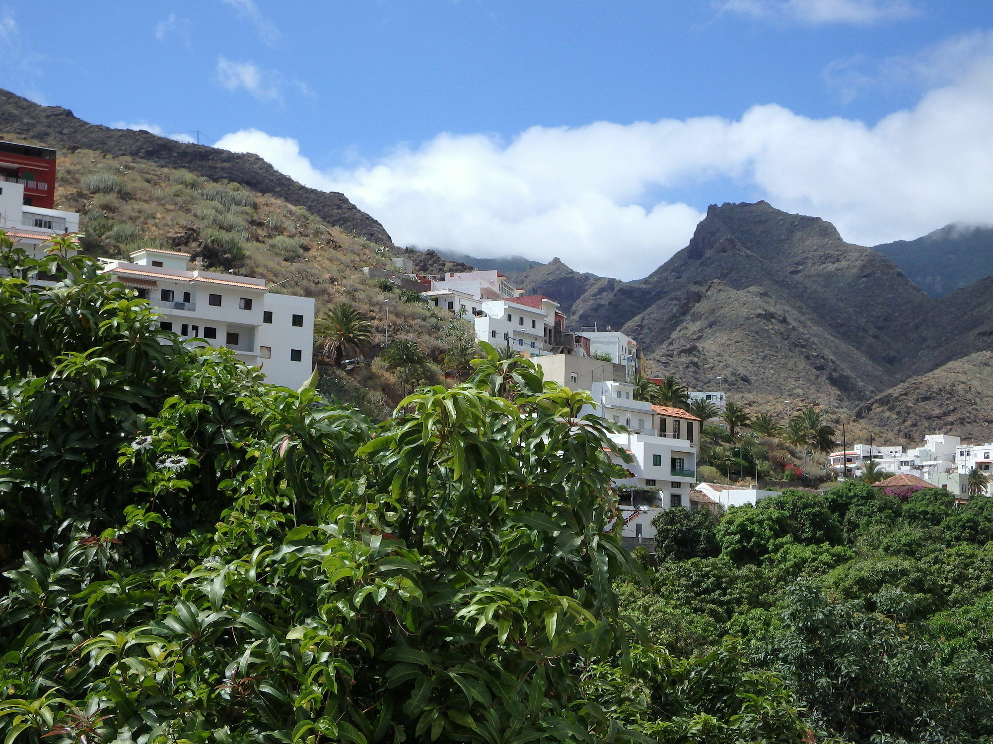 Willa La Casa De Magda Santa Cruz de Tenerife Zewnętrze zdjęcie